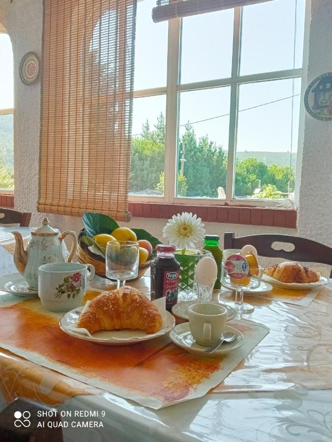 B&B Passo Del Falco Sorianello エクステリア 写真
