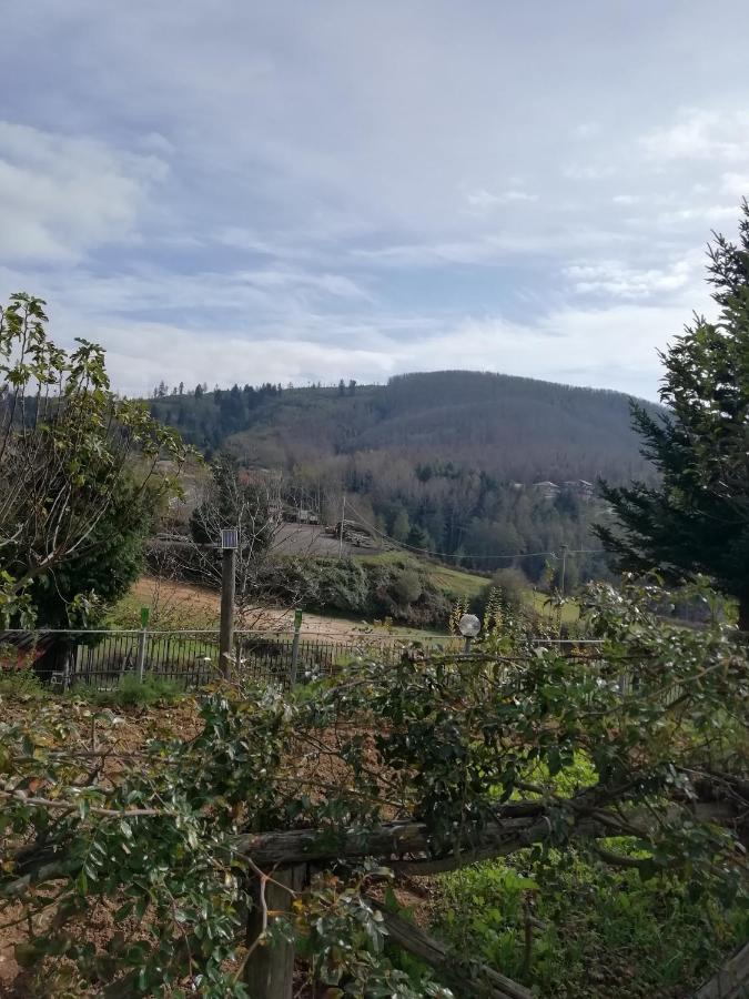 B&B Passo Del Falco Sorianello エクステリア 写真